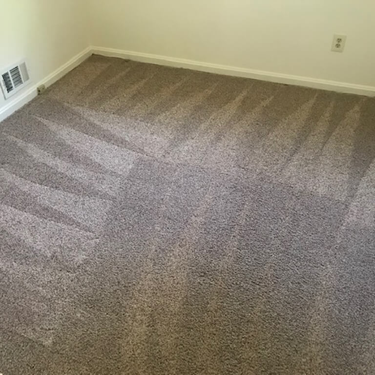 detailed-carpet