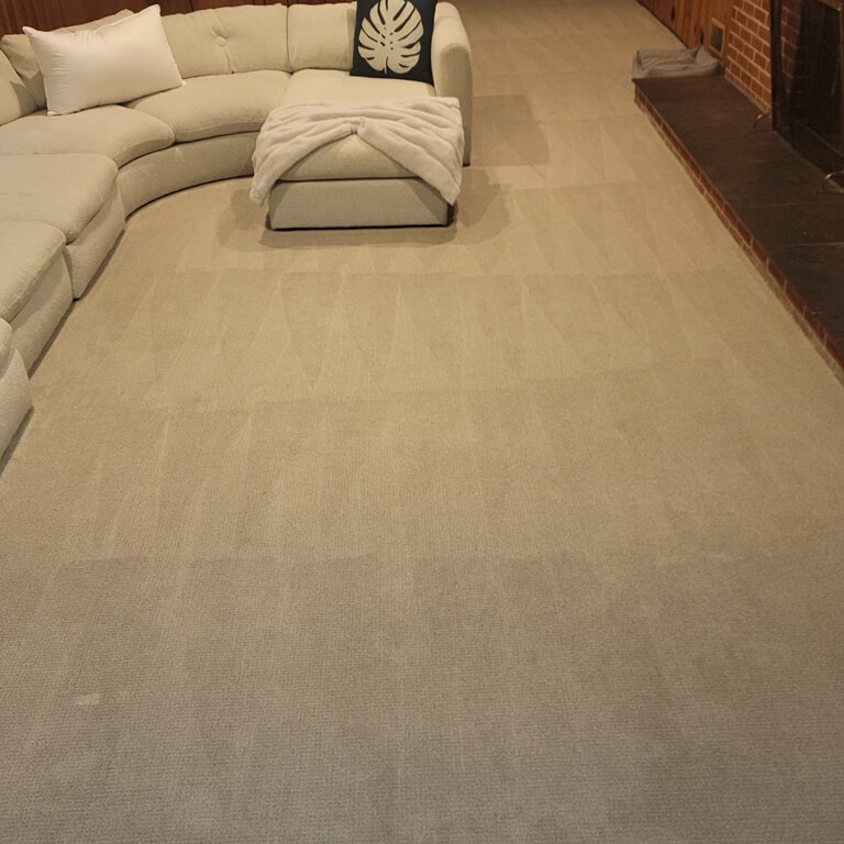 detailed-carpet2